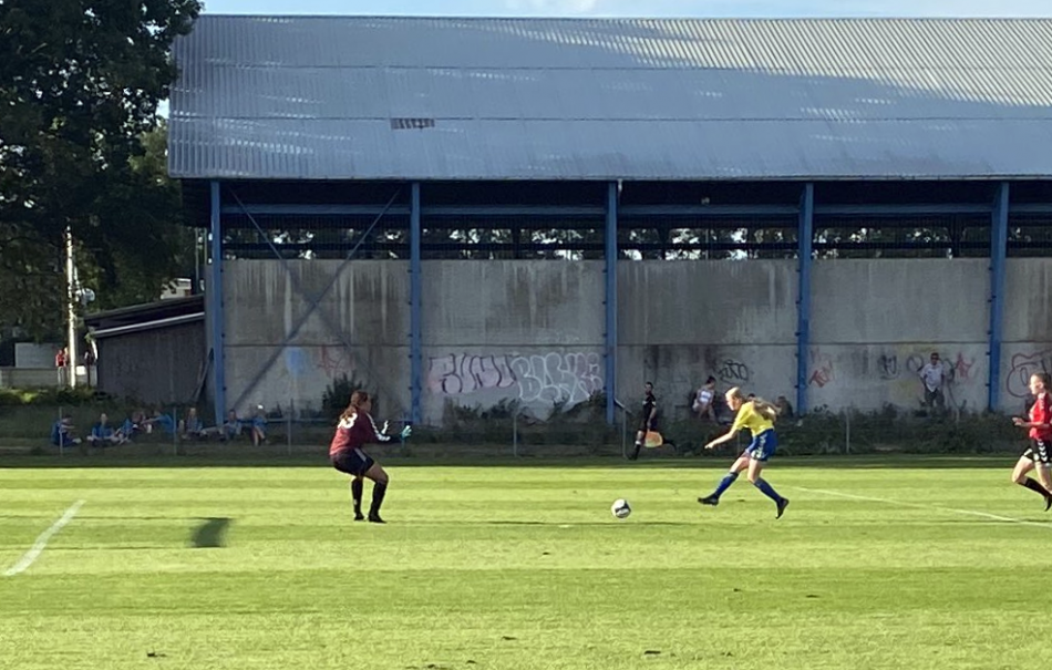 U15 piger pokal 2020