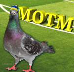 Johan.G